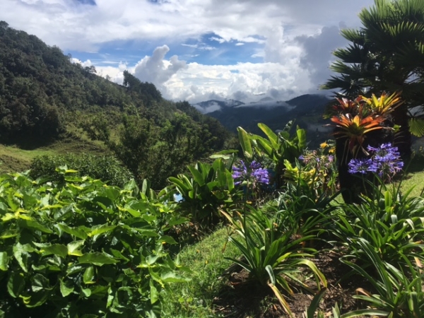 Rural Rionegro. Photo: Nathan Ober