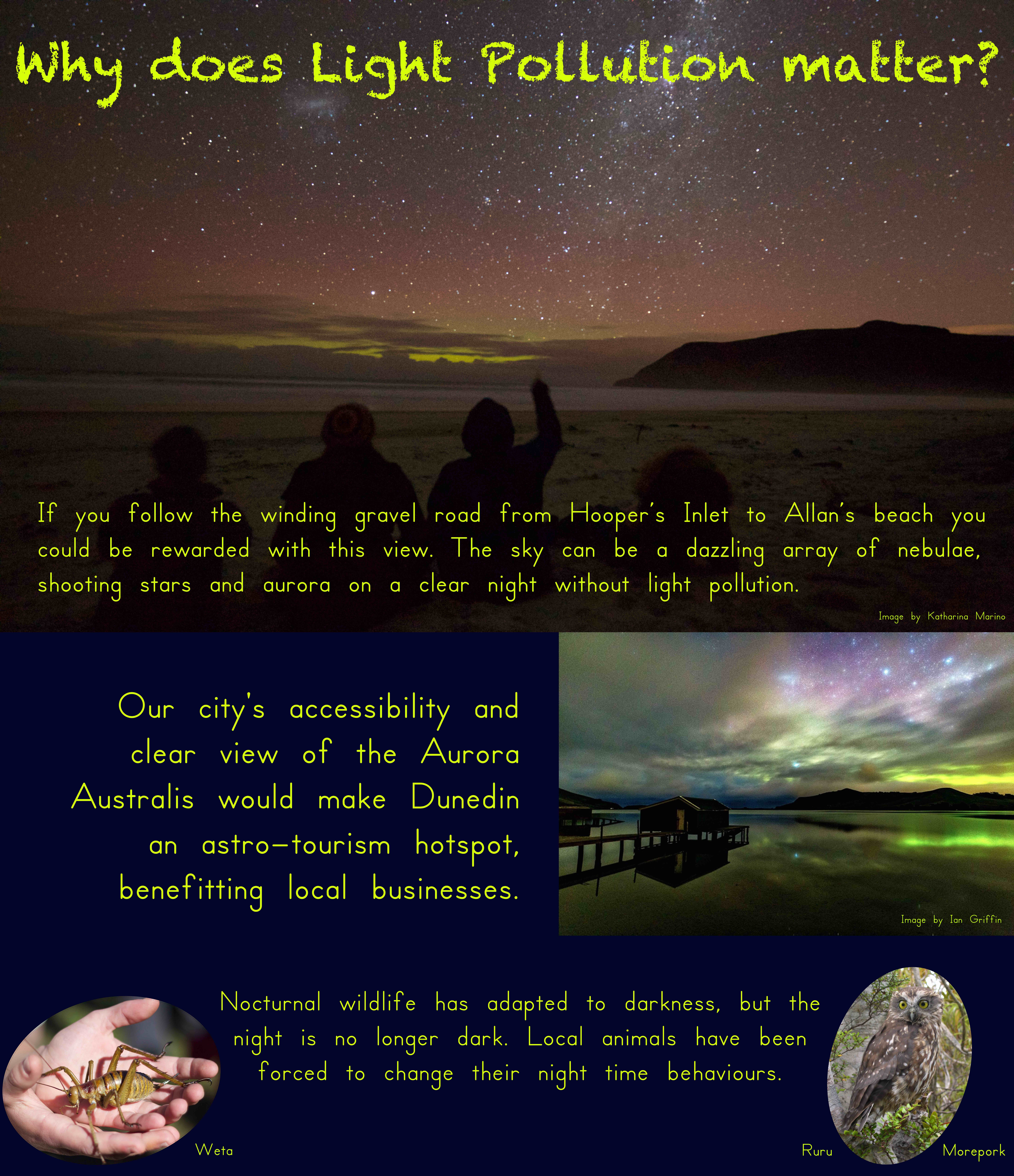 Why does light pollution matter