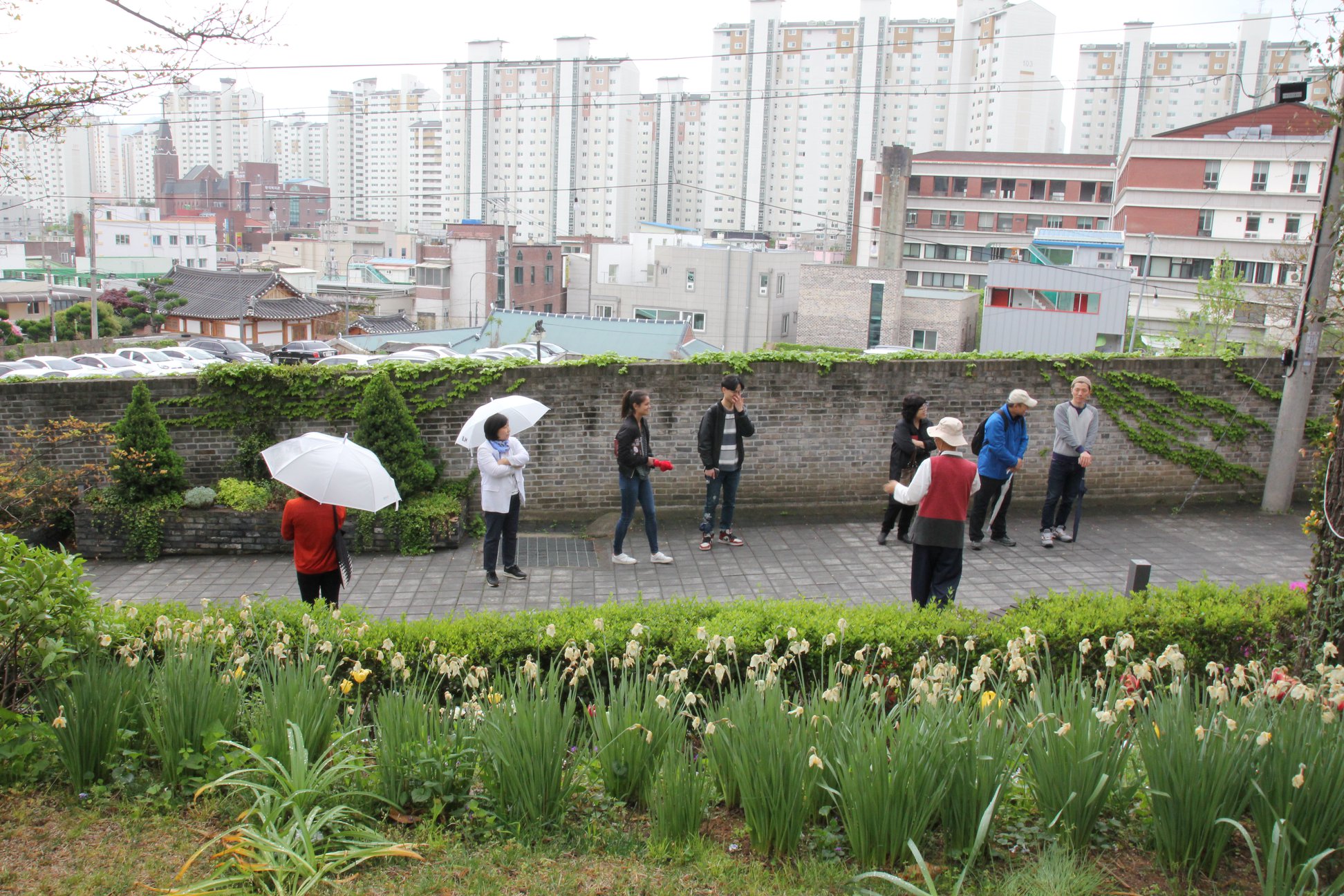  People with umbrellas stand in front of brick wall with plants in foreground and city skyline behind them